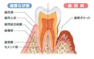 index_01